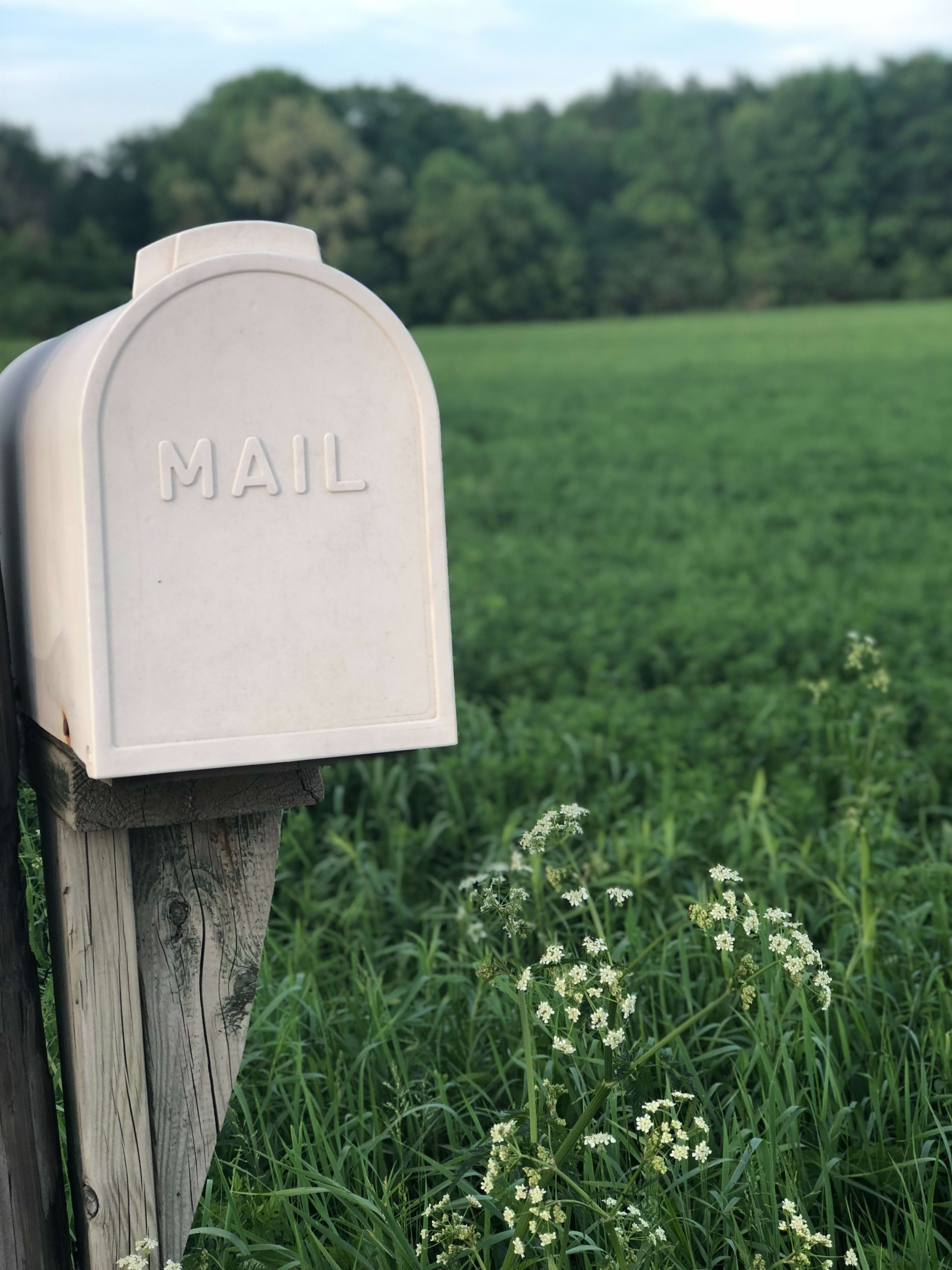 White Mailbox in green field
